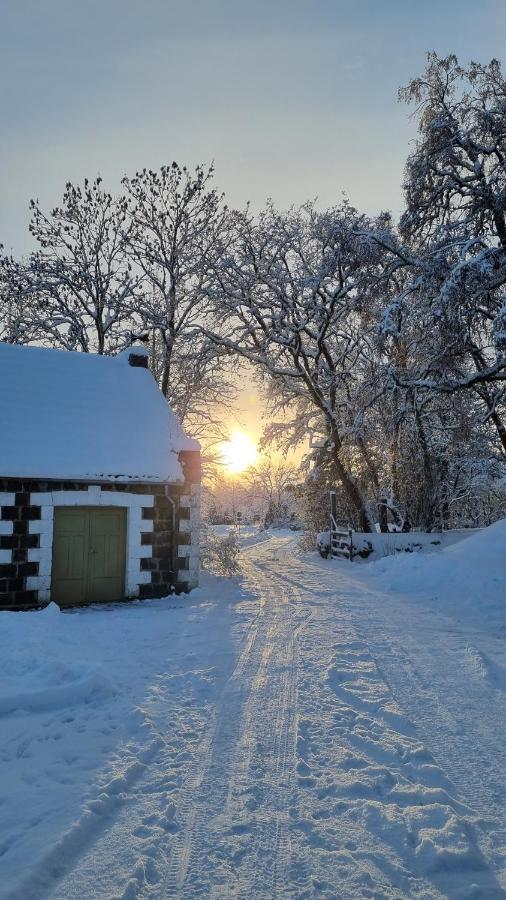 Vanatoa Taluhotell Koguva Exteriör bild